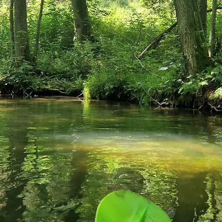 Oslo N°29 Letniskowy Borsk