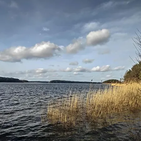 Oslo N°29 Letniskowy 別荘 *