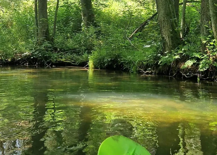 Oslo N°29 Letniskowy Borsk