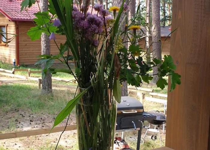 Semesterbostad Oslo N°29 Letniskowy Borsk